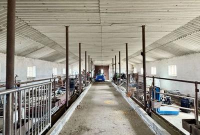 Pret redus Teren generos cu grajd nou in Varsand - 3