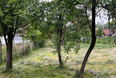 Teren intravilan , Saliste Sibiu - 3