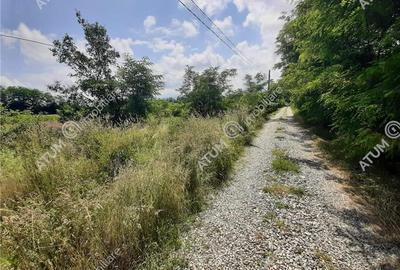 Teren Intravilan pe Valea Avrigului loc Avrig suprafata 7100 mp - 3