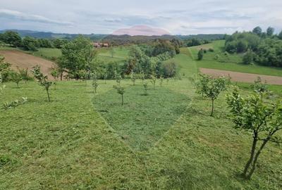 Teren Construcții intravilan de 2723 mp, în Bratca - 3