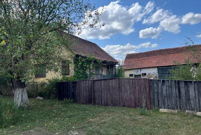 Casă cu 2 camere în Pătârș - 1