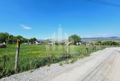 Teren Construcții intravilan de 3000 mp, în Micești - 2