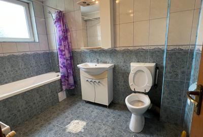 Casă spațioasă de închiriere la malul lacului Colentina, Dobroești Casă spațioasă de închiriere la malul lacului Colentina, Dobroești - 10