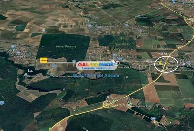 Teren 14000 mp la Dj Moara Vlasiei Gradistea latura Padure - 3