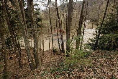 Teren de 30283 mp, în Cazaci - 12