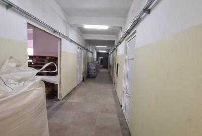 Drumul Intre Tarlale spatiu productie 1350 mp - 2