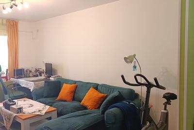 Apartament cu 3 camere semidecomandat, mobilat în Ozana - 12