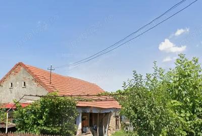 Casă cu 2 camere cu Teren 4200 Mp în Bogei - 1