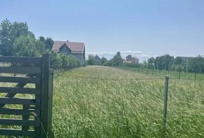 Teren de 2020 mp, în Rădăuți - 4