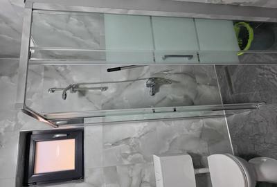 Apartament 2 camere de inchiriat zona Colentina - 3