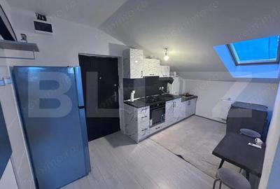 Studio 40mp, Zona Coloanei Infinitului - 1