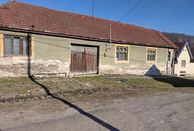 Casă cu 4 camere cu Teren 2500 Mp în Moniom - 2