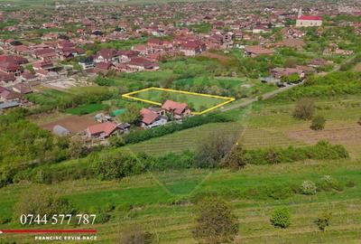 Teren Construcții intravilan de 3225 mp, în Șiria - 5
