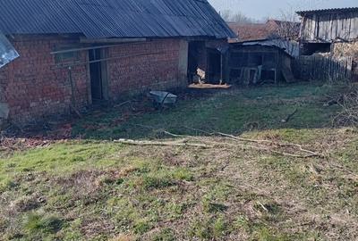 Casă cu 3 camere cu Teren 6627 Mp în Tincova - 7