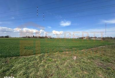 Spațiu comercial, în Valu lui Traian - 6