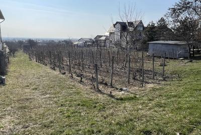 Spațiu comercial, în Blejoi - 3