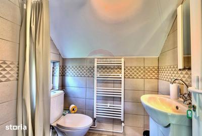 Casă cu 3 camere decomandat cu Teren 2237 Mp în Beliș - 18