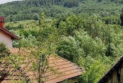 Teren de 2727 mp, în Mihăești - 3