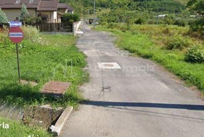 Teren de 6345 mp, în Aninoasa - 1