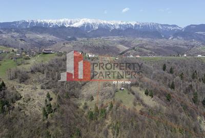 Teren Construcții intravilan de 29595 mp, în Drumul Carului - 1