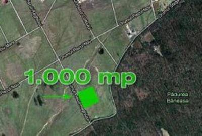 Teren de 1058 mp, în Băneasa - 2