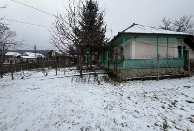 Casa batraneasca situata in Hemeius - de vanzare - 3