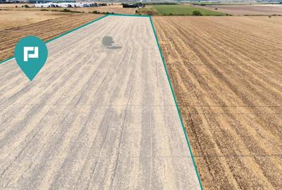 Oportunitate! Teren 4.345 mp - Șagului Oportunitate! Teren 4.345 mp - Șagului - 9