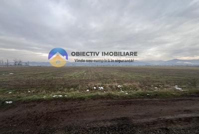 Teren Savinesti- jud. Neamt - 2