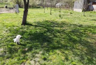 Casă cu Teren 1800 Mp în Central - 11