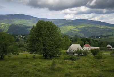 Teren agricol intravilan de 15000 mp, în Rogojel - 3