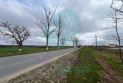 Teren Construcții intravilan de 6439 mp, în Moara Vlăsiei - 3