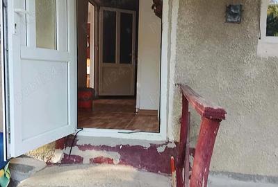 Casă cu Teren 6000 Mp în Viperești - 5