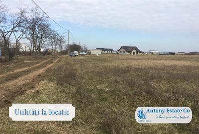 Teren Construcții intravilan de 13120 mp, în Nojorid - 6