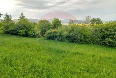 Teren 4,223mp Zarnesti - Tohanita - 12
