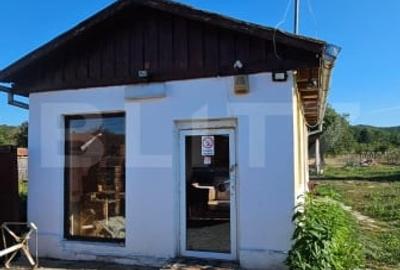 Doua unitati locative tip cabana - sat Pojoga, jud. Hunedoara - teren 1706 mp - 2