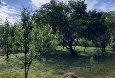 Casă cu 2 camere cu Teren 1600 Mp în Frunzeni - 5