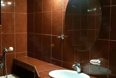 Inchiriez apartament cu 3 camere in Sanmartin - 10