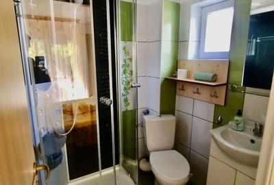 Casă cu 4 camere în Vlădești - 7