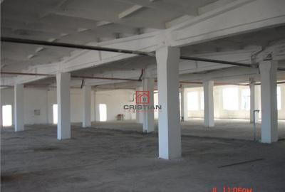 Spatiu industrial/depozit/hala Drumul Intre Tarlale - Oxige - 2