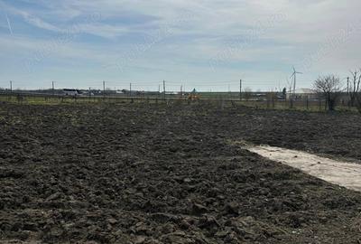 Casa de vanzare,comuna Pecineaga,Constan?a Casa de vanzare,comuna Pecineaga,Constan?a - 7