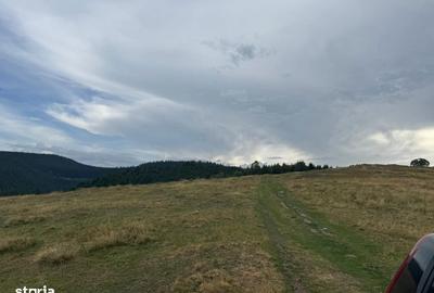 Teren de 14526 mp, în Gura Râului - 2