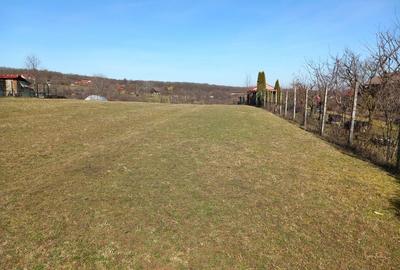 Spațiu comercial, în Rășinari - 1