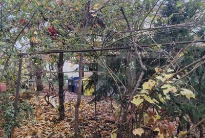 Casă individuală cu 4 camere cu Teren 347 Mp în Central - 8