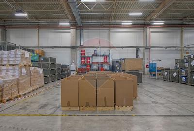 Hală industrială 5.000–12.000 mp de închiriat, Ghimbav - 15