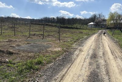 Spațiu comercial, în Vlădiceni - 4