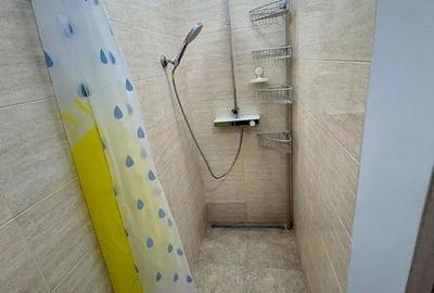 Apartament cu 3 camere decomandat, mobilat în Dămăroaia - 4