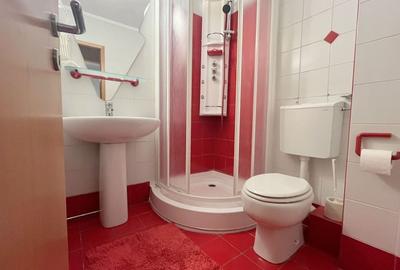 Apartament spațios de închiriat si garaj - Calea Aradului Apartament spațios de închiriat si garaj - Calea Aradului - 17