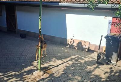 Casă cu 6 camere în Central - 3