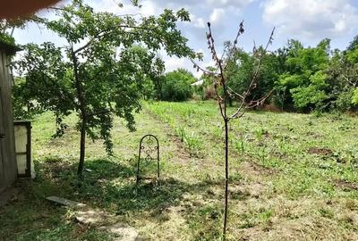 Casă cu 3 camere cu Teren 1400 Mp în Tudor Vladimirescu - 4