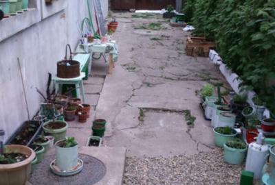 Casa Mihai Bravu -Calea Vitan - 1